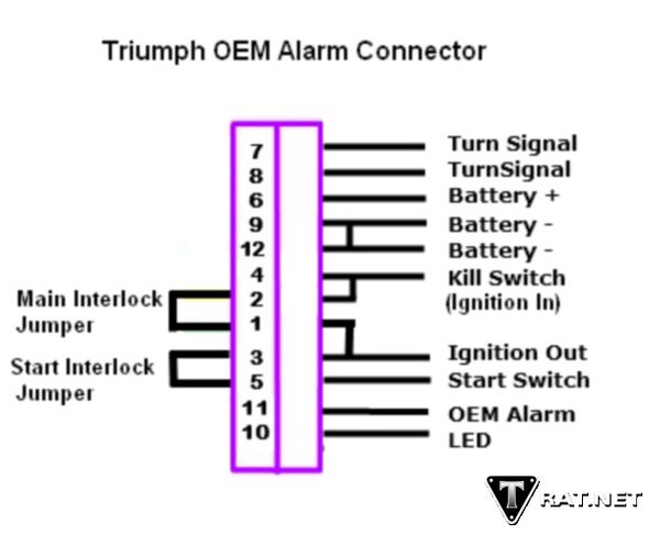 Alarm_Connections.jpg