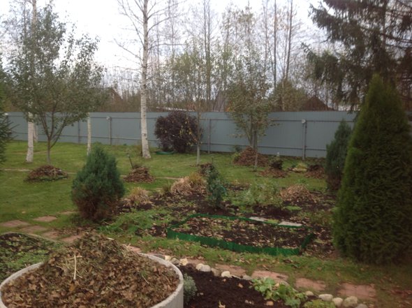 image.jpg (1.4 МБ) Просмотров: 12619 image.jpg