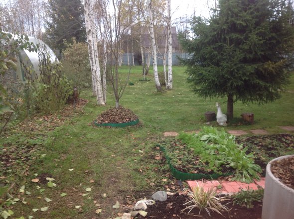 image.jpg (1.5 МБ) Просмотров: 13658 image.jpg