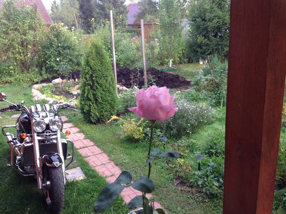 image.jpg (1.97 МБ) Просмотров: 13654 image.jpg