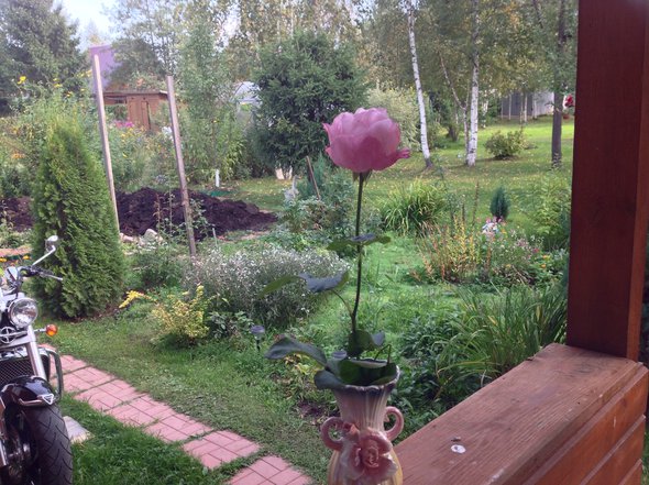 image.jpg (2 МБ) Просмотров: 11968 image.jpg